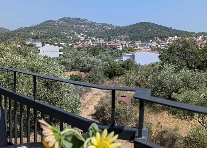 The Rose Of * Limenaria (Thasos)