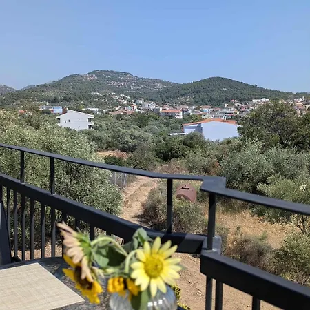 The Rose Of * Limenaria (Thasos)